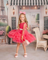 Parisian Rosé Pink Tulle Birthday Party Dress for Girls