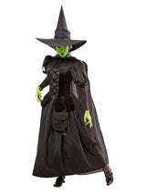 Women's The Wizard of Oz Wicked Witch Costume - Deluxe