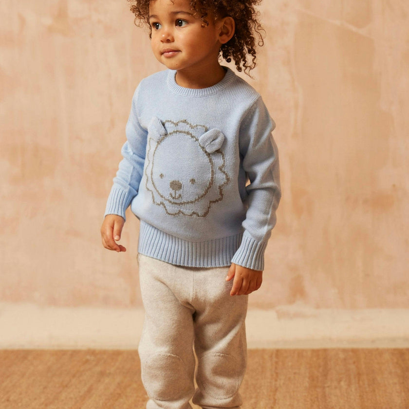 Baby Lion Jumper | Sky
