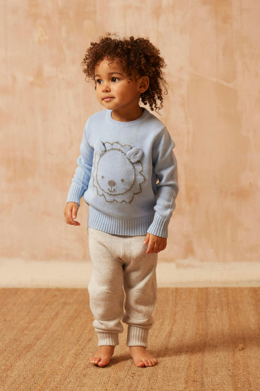 Baby Lion Jumper | Sky