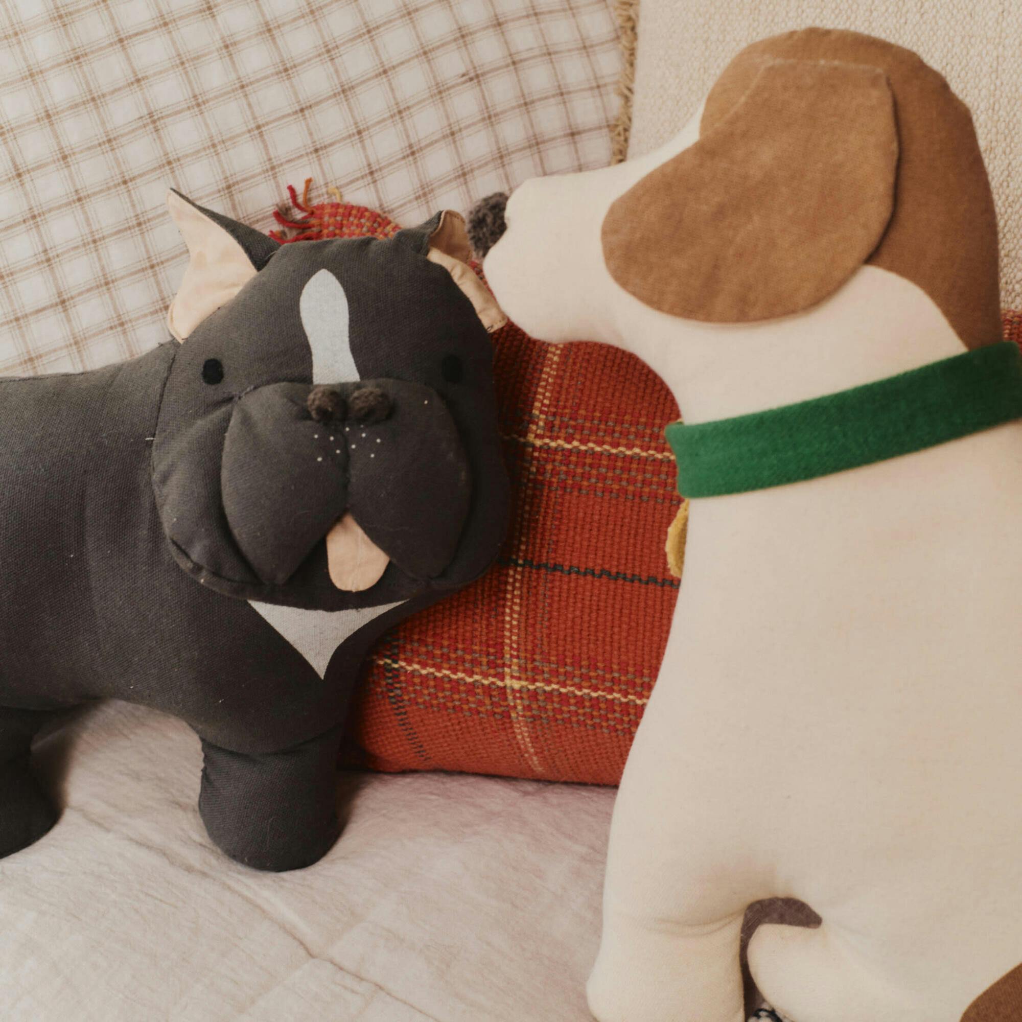 Cushion Jimmy