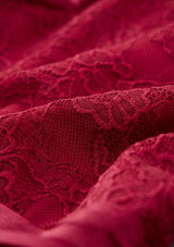 Ember Lace Mini Dress