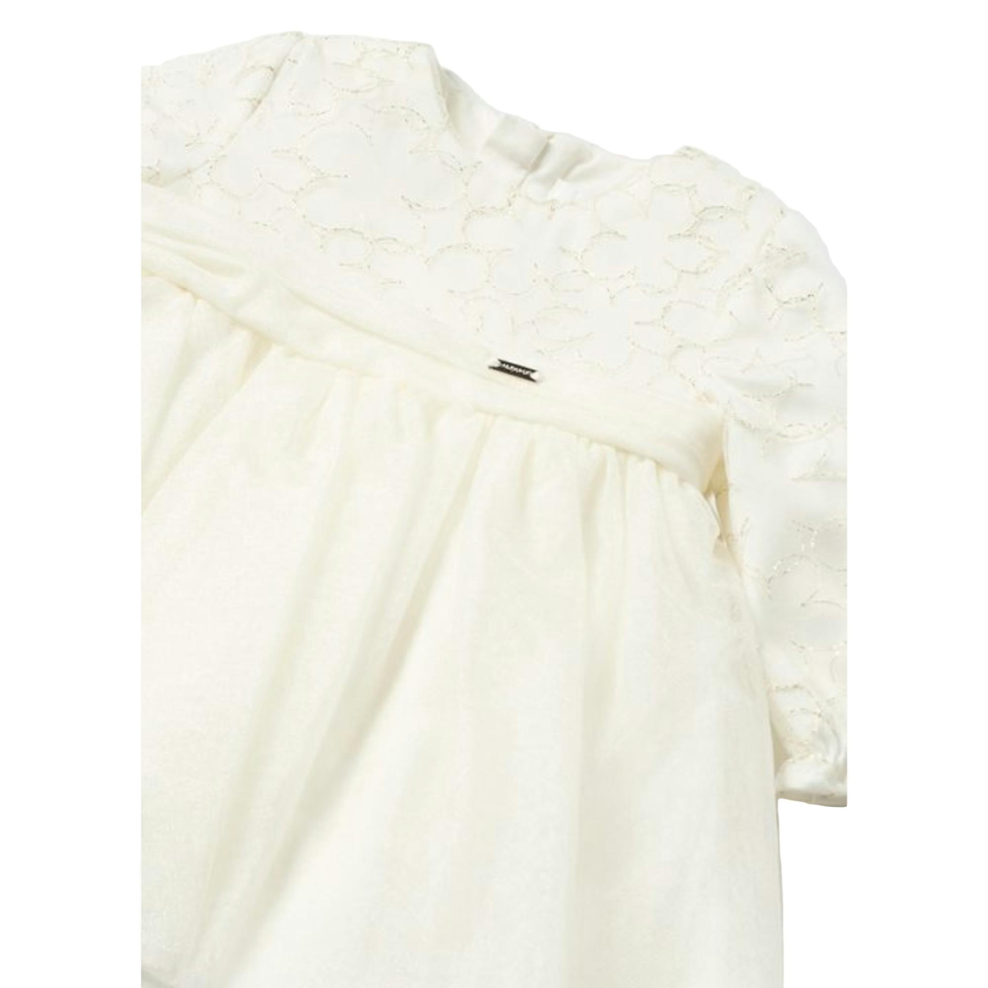 Ivory Embroidered Tulle Dress