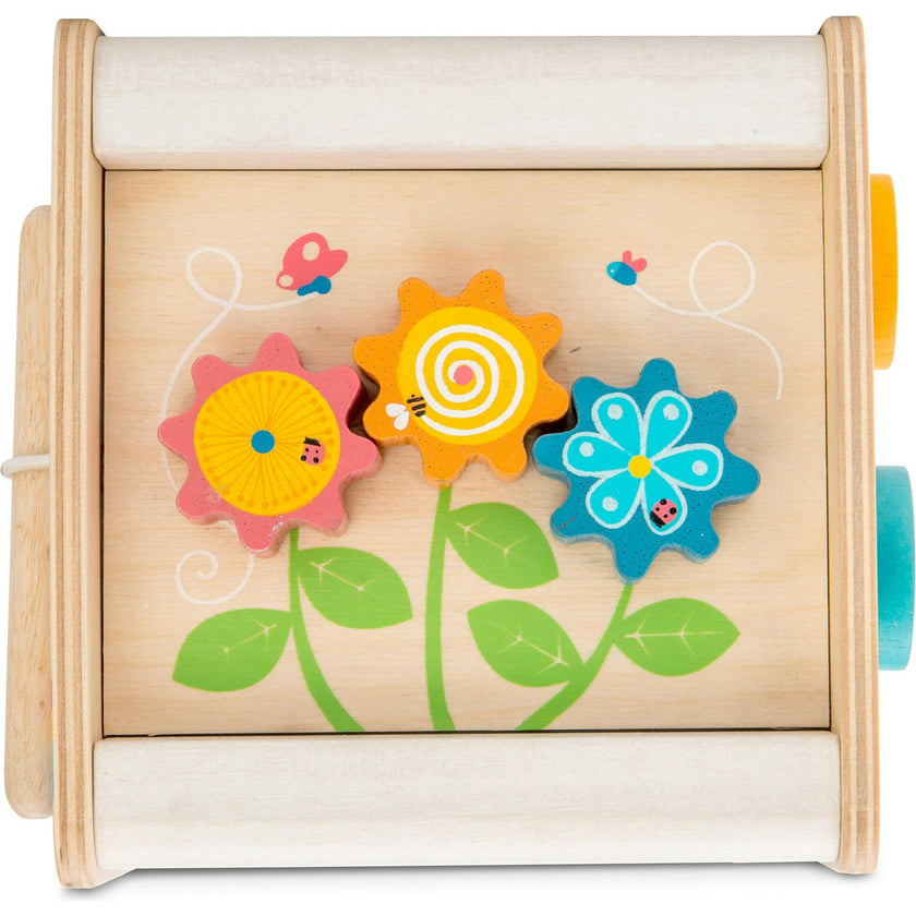 Petit Activity Cube