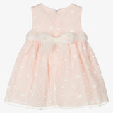 Pink Organdy Embroidered Dress