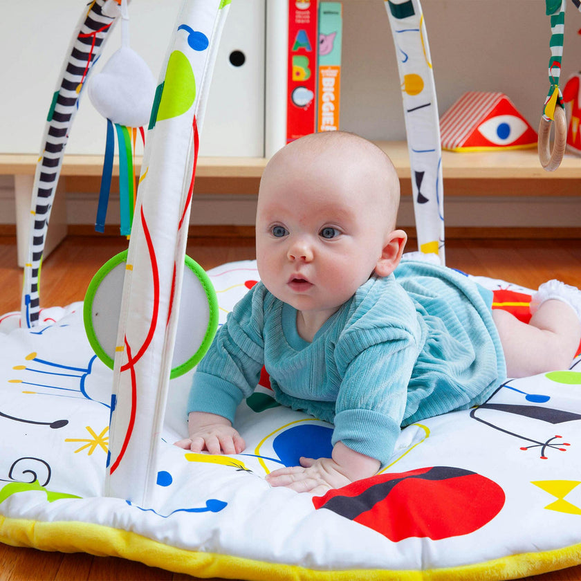 Baby Artist Play Gym