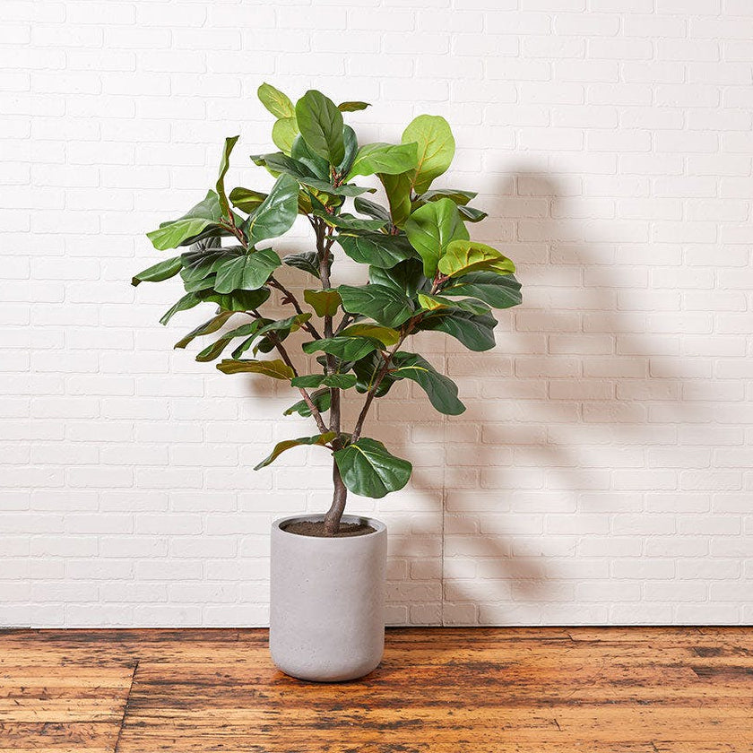 Artificial Fiddle Leaf Fig Tree with Artisan Planter