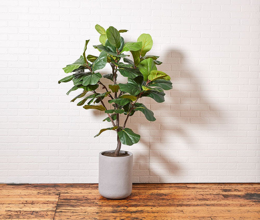 Artificial Fiddle Leaf Fig Tree with Artisan Planter
