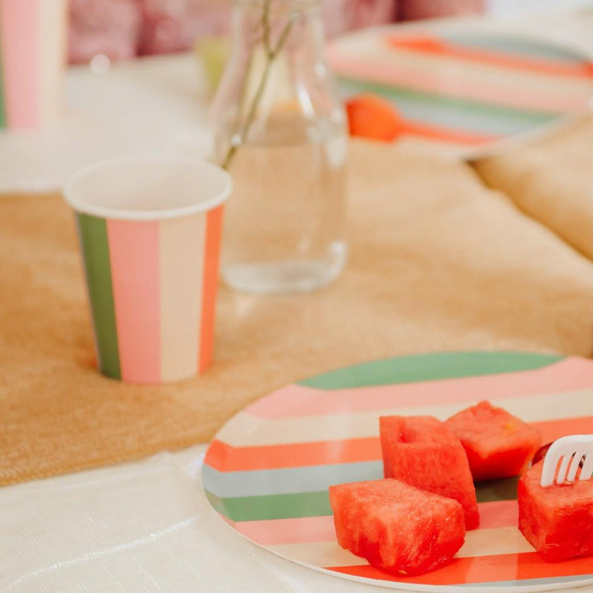 Vibrant Striped Party Pack – Paper Plates