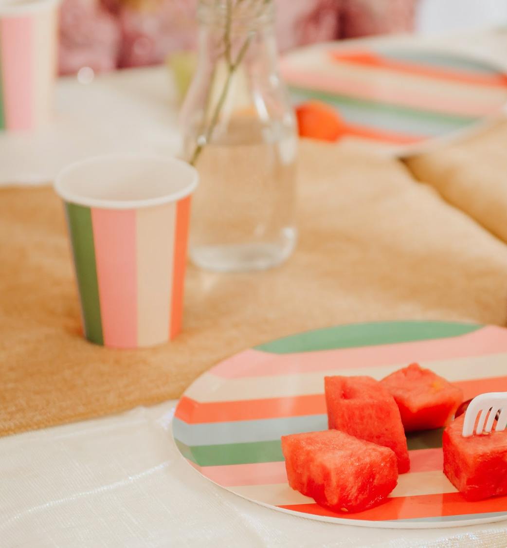 Vibrant Striped Party Pack – Paper Plates
