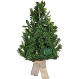 22-Inch Battery-Operated Prelit Decorated Wall Tree with Berries and Pomegranate