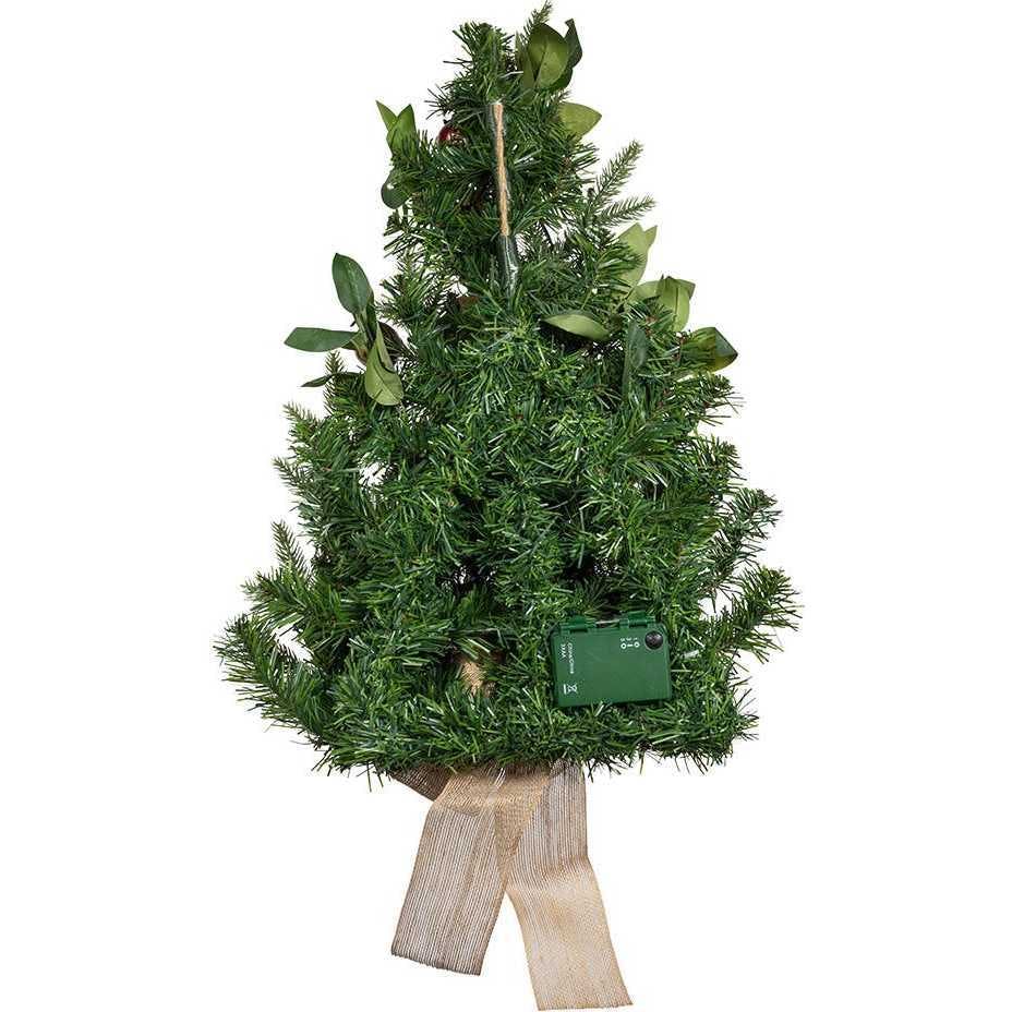 22-Inch Battery-Operated Prelit Decorated Wall Tree with Berries and Pomegranate