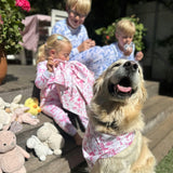 Kids Skydog Toile Pink Long PJ Set