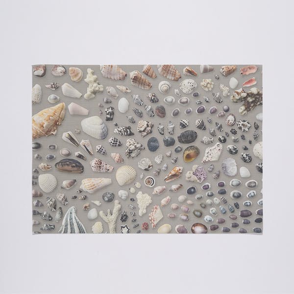 Seashells Placemat