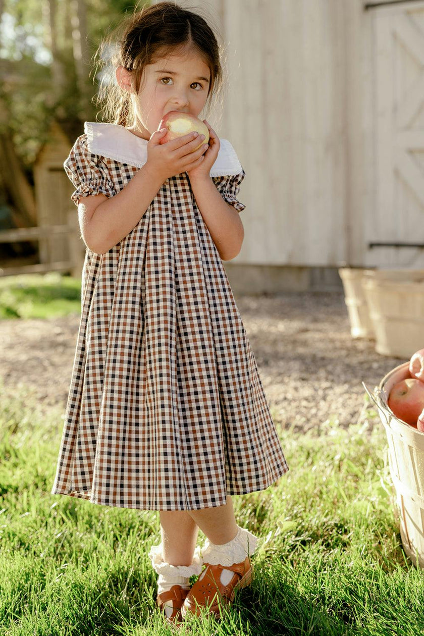 Mini Emery Dress in Chestnut Gingham