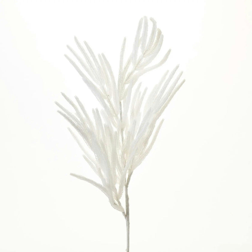 Real Touch Flocked White Norfolk Pine Branch Christmas Spray - 37"