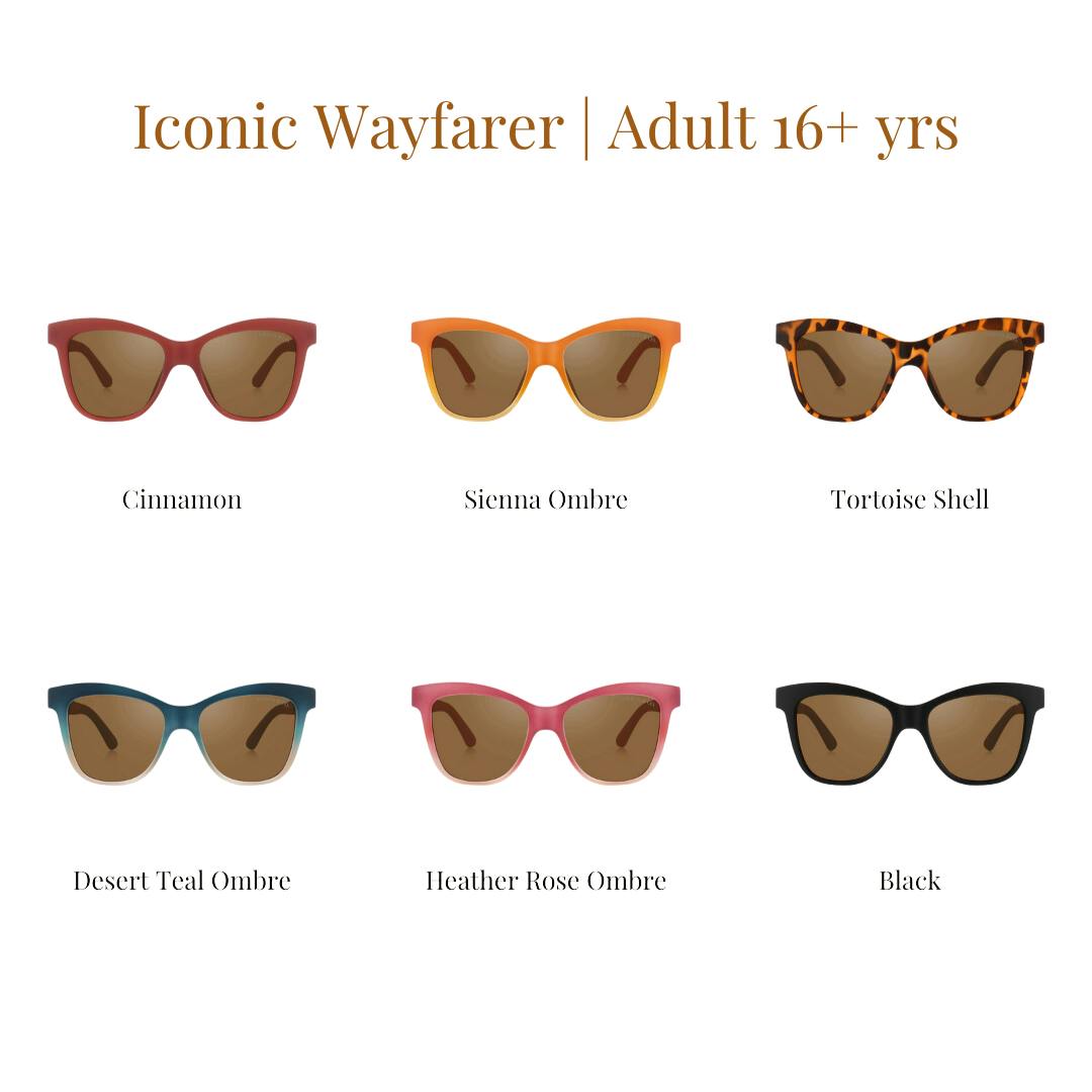 Iconic Wayfarer Ombre  | Polarized Sunglasses | Adult | 15+ Y