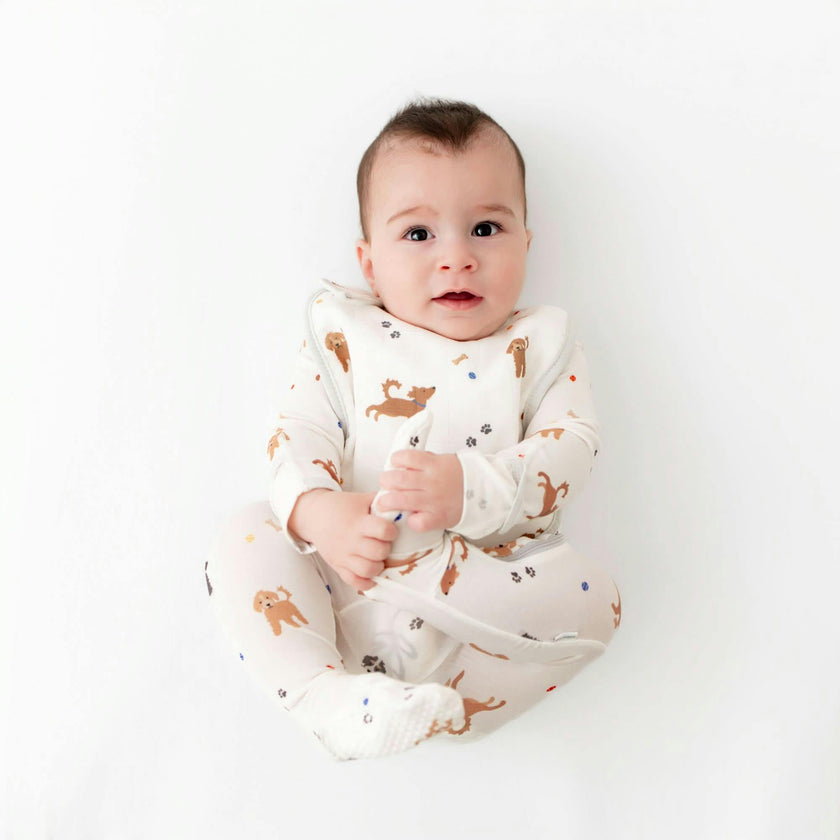 Bib Set