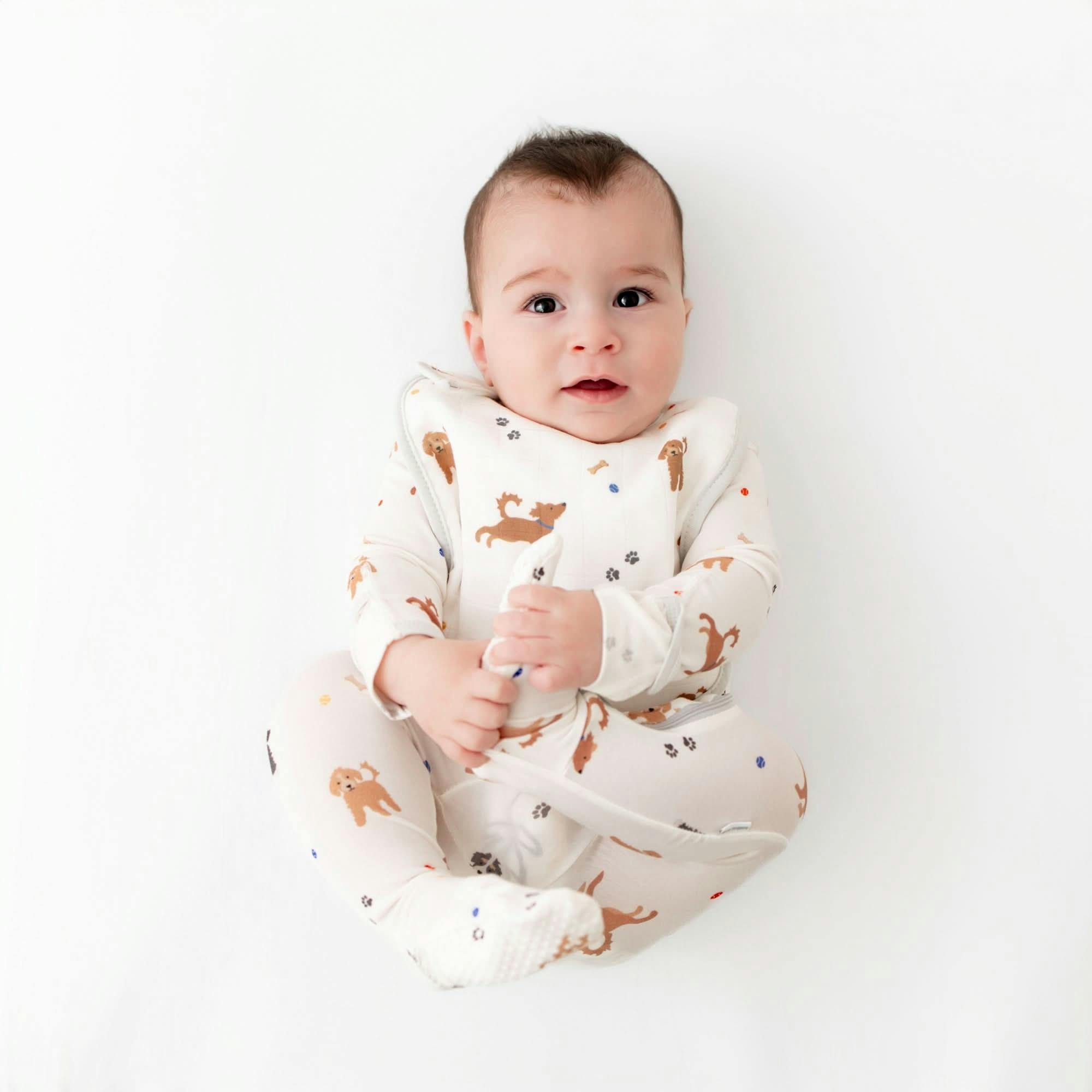 Bib Set