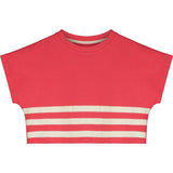 Stripe Crop Sweatshirt