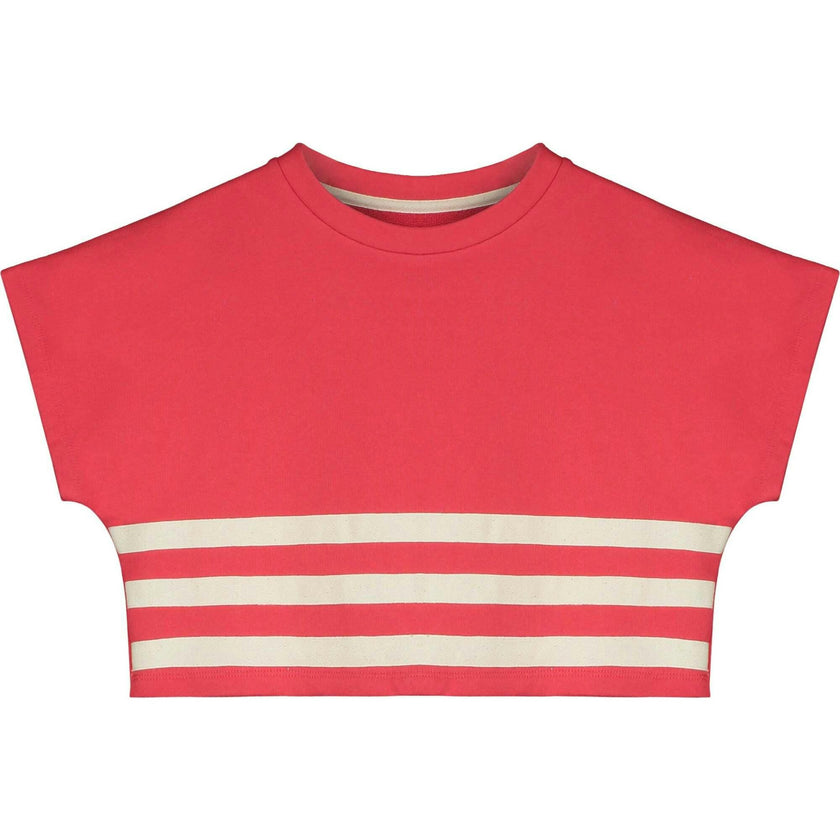 Stripe Crop Sweatshirt