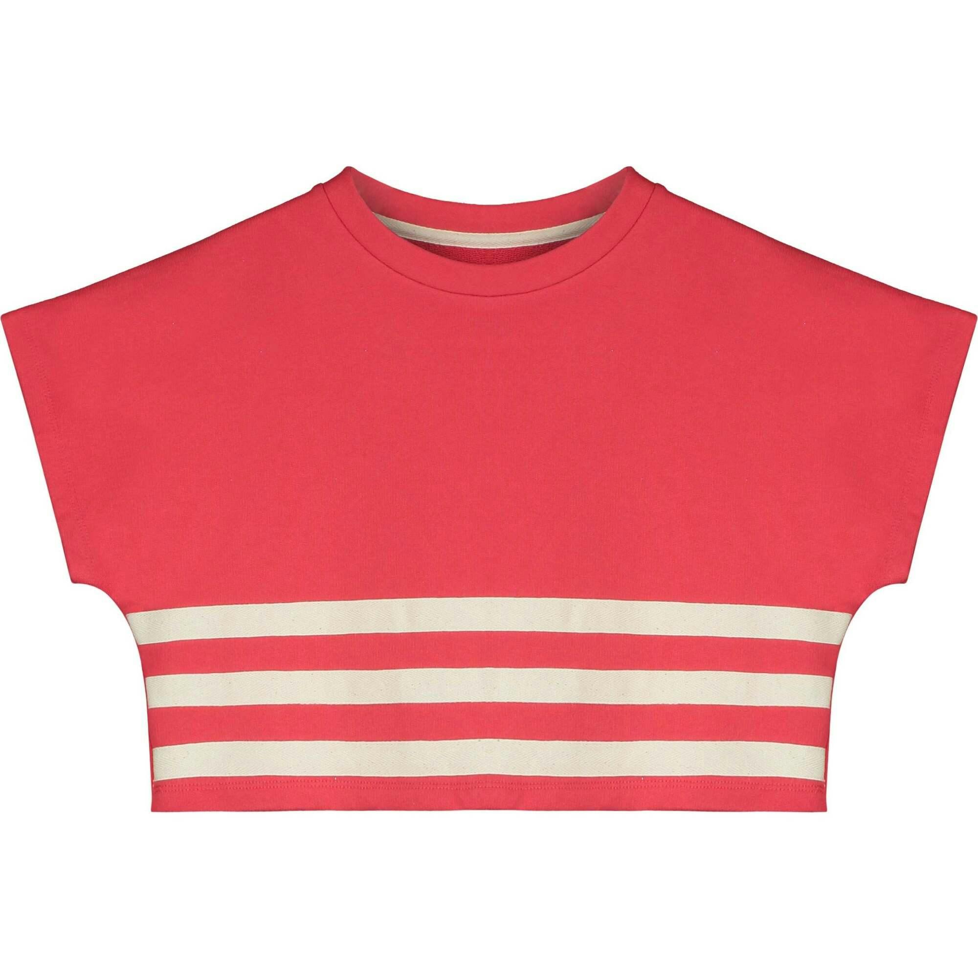 Stripe Crop Sweatshirt