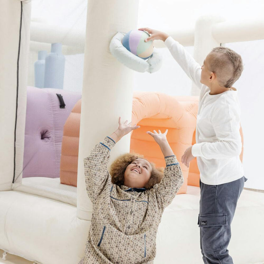 Plush Indoor Ball (2 Pack)