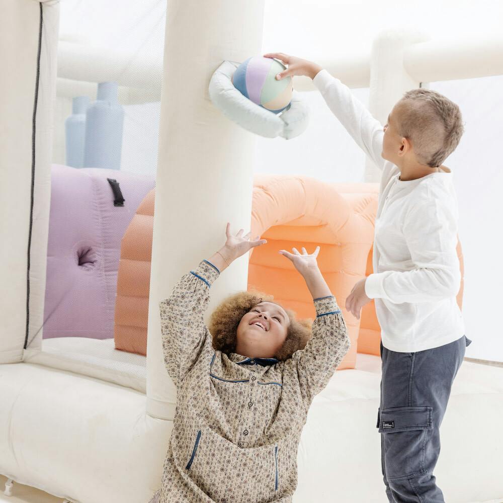 Plush Indoor Ball (2 Pack)