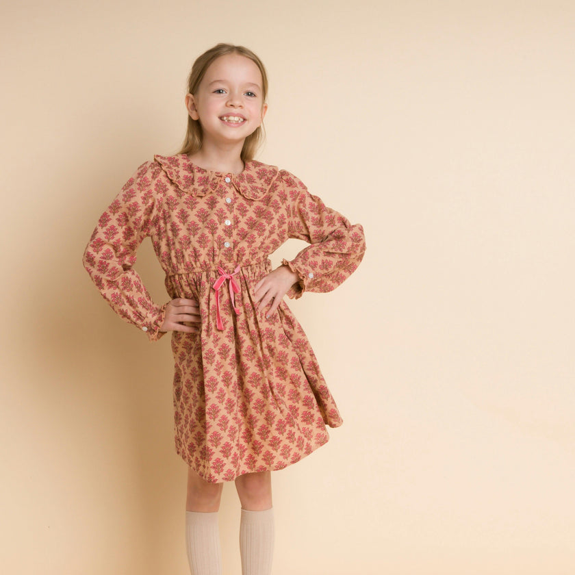 Long Sleeve Collar Dress with Velvet Tie