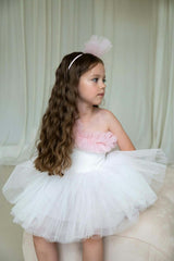Pink Ruffle One Shoulder Tutu Dress