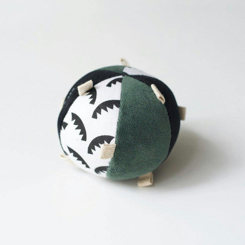 Taggy Ball with Rattle