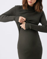 Nella Rib Nursing Knit Dress  Ivy