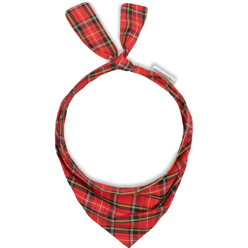 Holiday Neckwear, Plaid