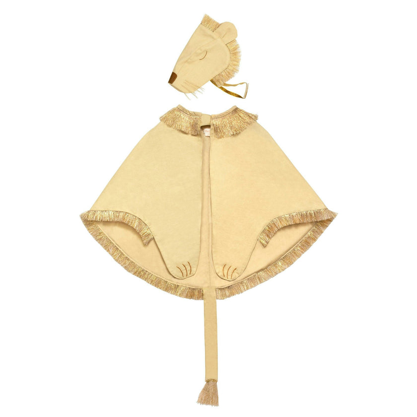 Lion Costume