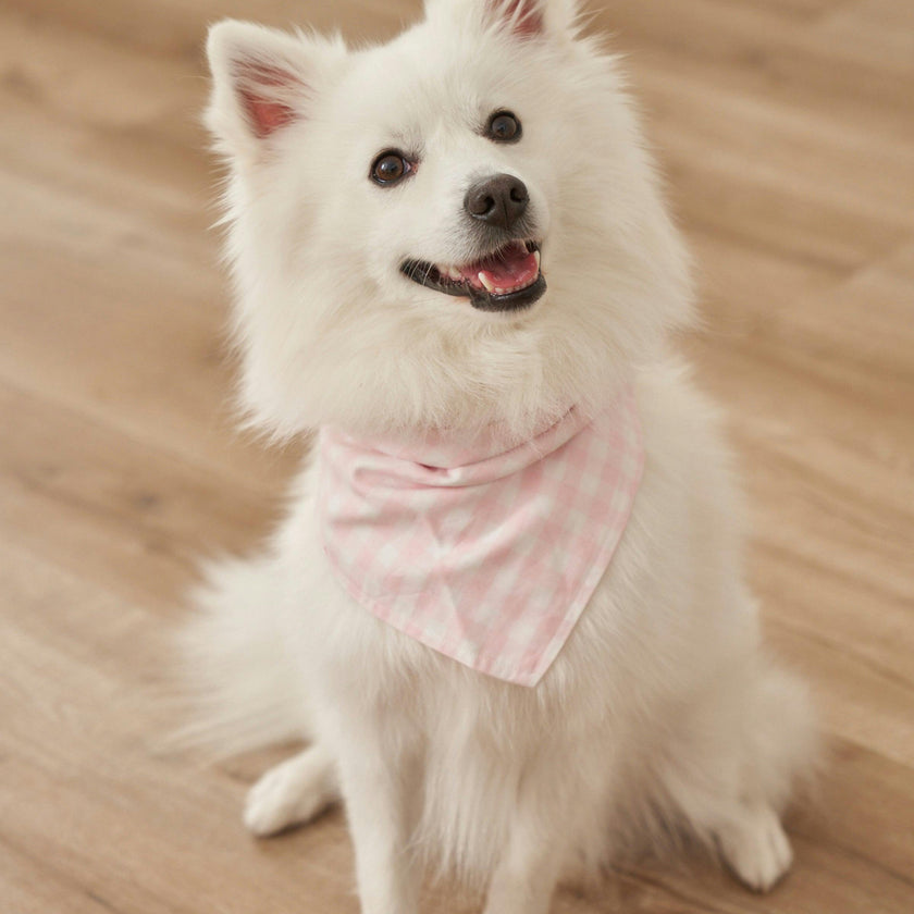Dog Twill Bandana in Pink Gingham