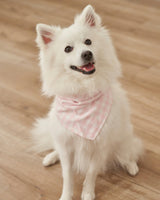 Dog Twill Bandana in Pink Gingham