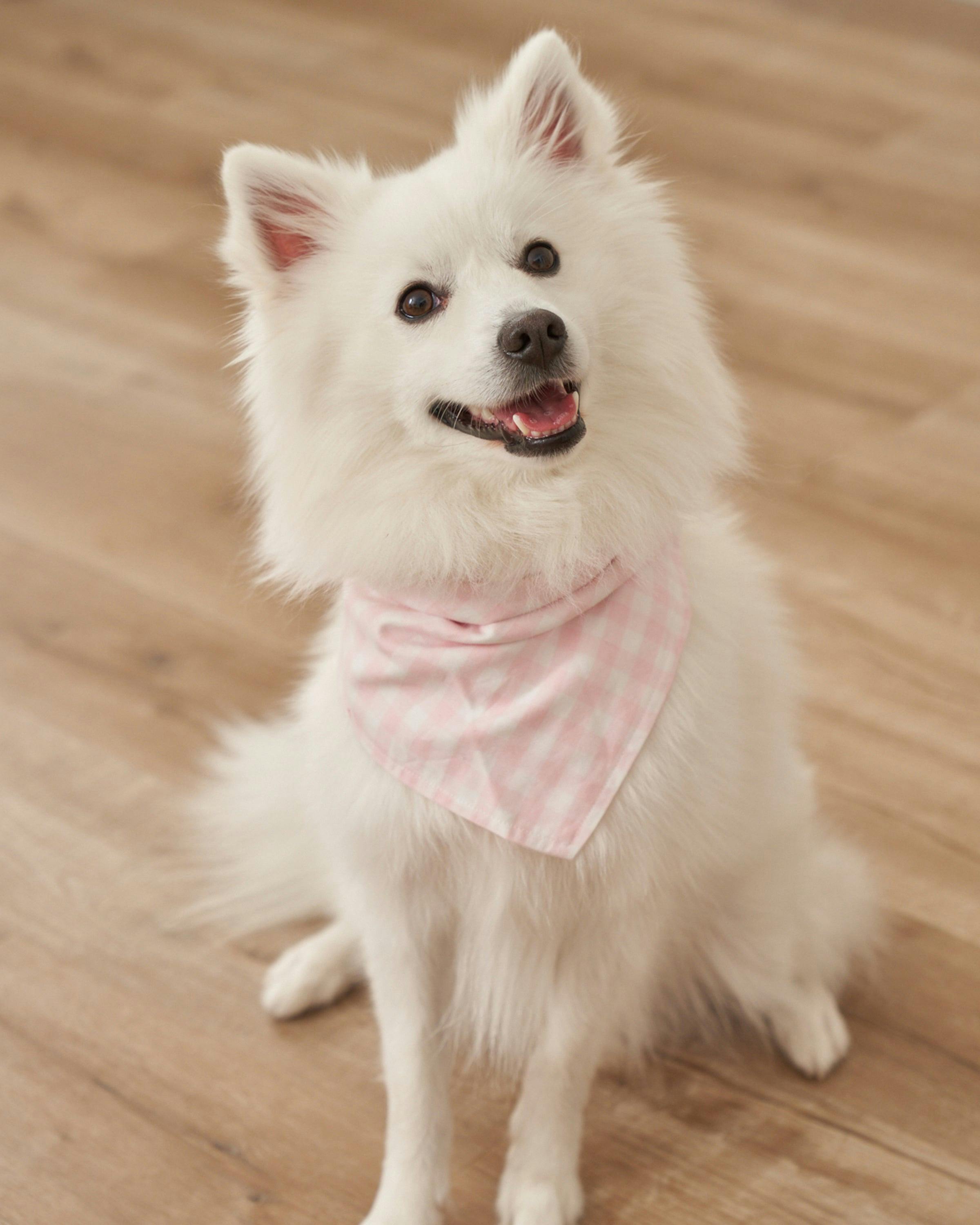Dog Twill Bandana in Pink Gingham