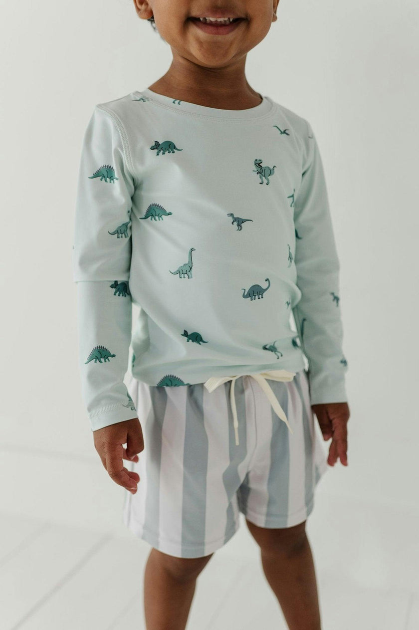 Boys Swim Shorts in Dinosaur