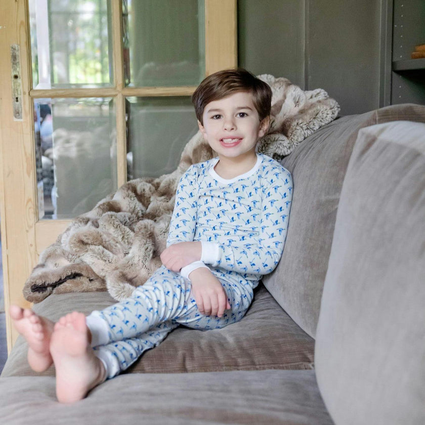 Grayson Boys' Pajama Pant Set Mallard Ducks