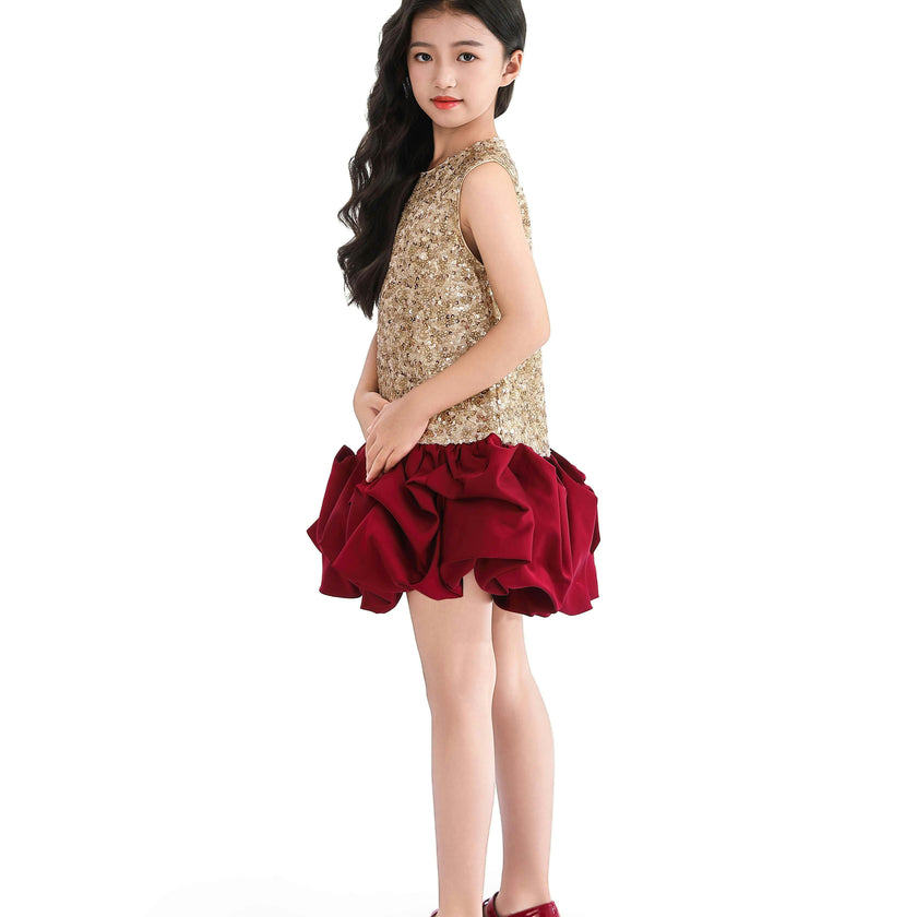 Crimson Ruffles & Golden Gleam Dress