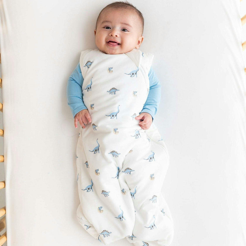 Sleep Bag, Jurassic 1.0