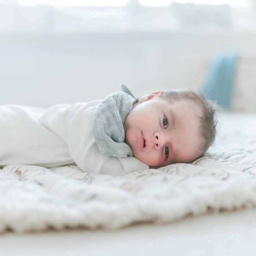 Ezra Woodland Cotton Bandana Baby Bib (3 Pack)