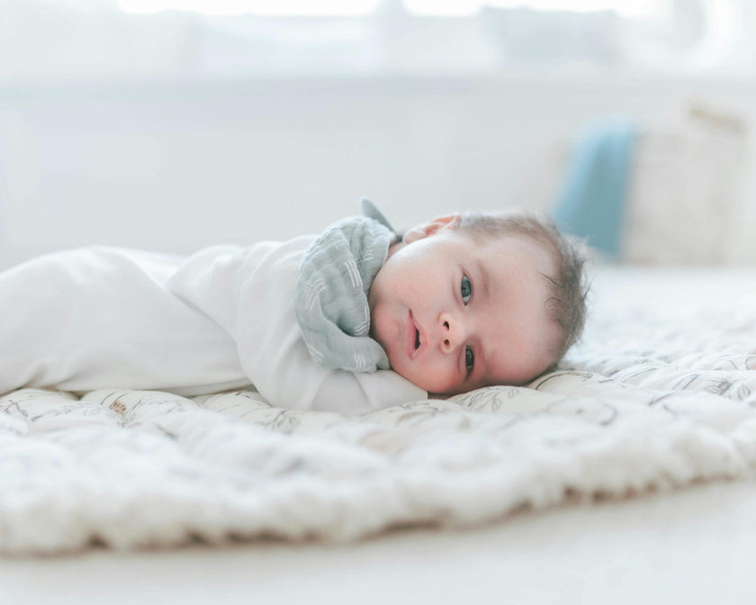 Ezra Woodland Cotton Bandana Baby Bib (3 Pack)