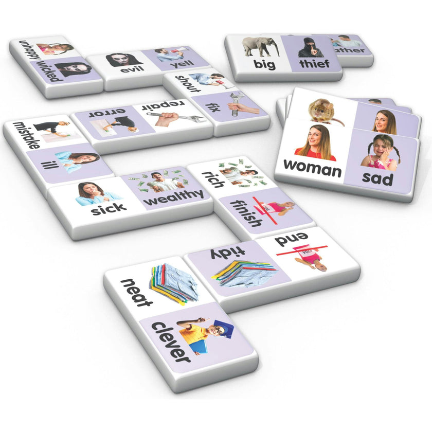 Synonyms Dominoes  Langauge Arts