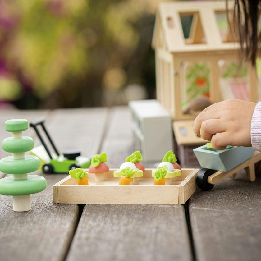 Greenhouse and Garden Set
