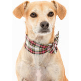 Holiday Necktie, Plaid