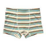 Boys Boxer in Blue Haze Multi Stripe