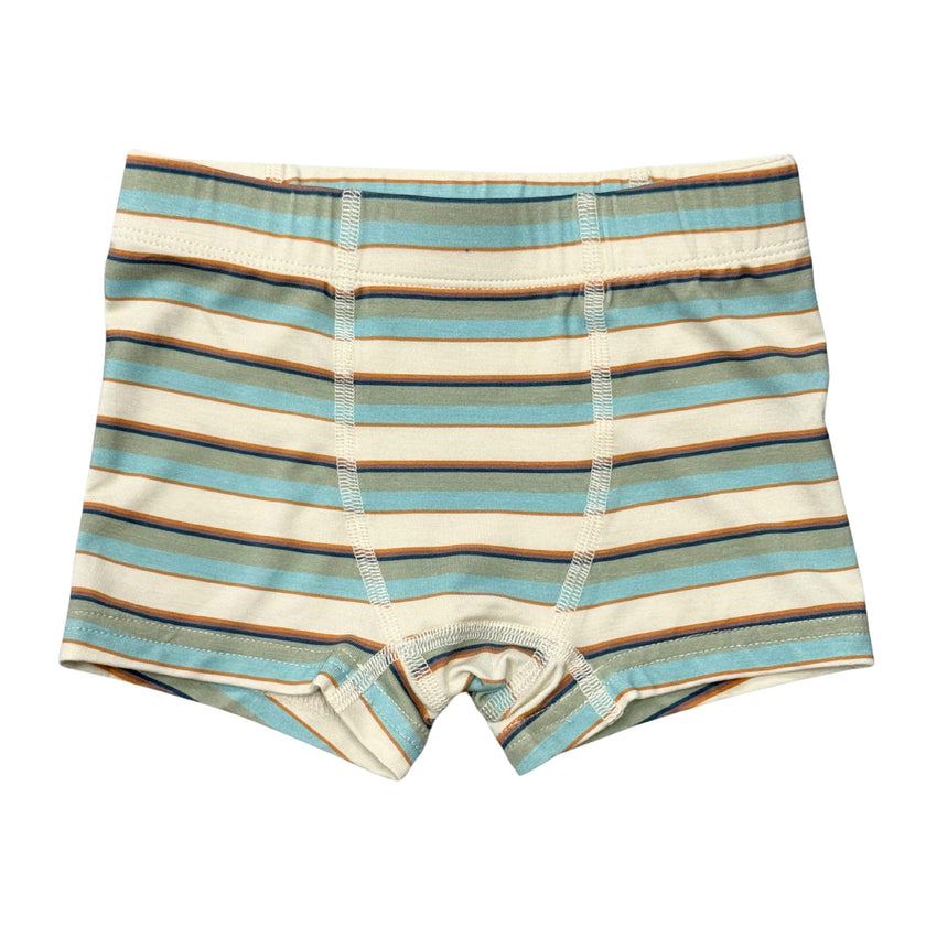 Boys Boxer in Blue Haze Multi Stripe