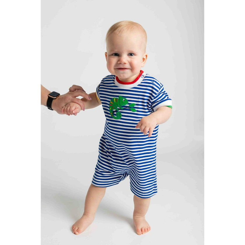 Stripe Knit Shortall With Lizard