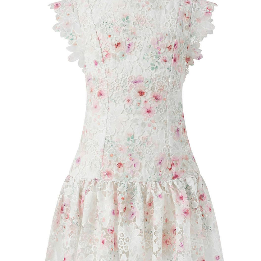 Belle Embroidered Mini Dress